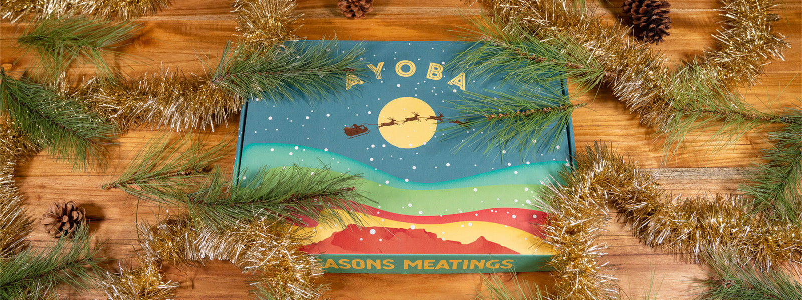 Holiday Gift Guide